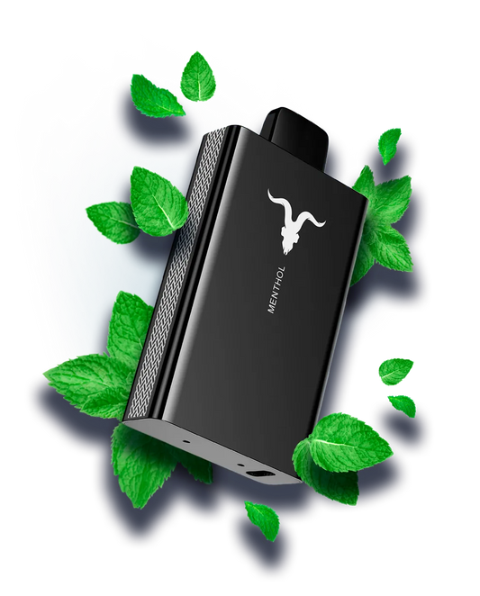 V80 VAPE DEVICE E-cigarettes